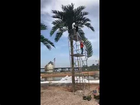 How To Install Palm Trees