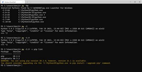 how to install python launcher for windows