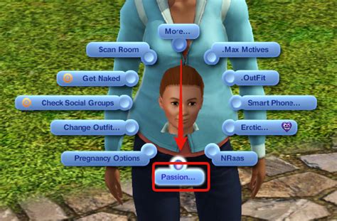 how to install sims 3 passion mod