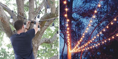 How To Install Tree Trunk Lights