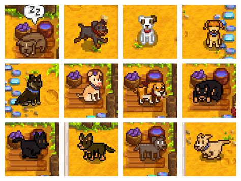 How To Interact With Your Dog In Stardew Valley