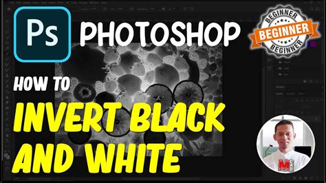 how to invert a black and white image