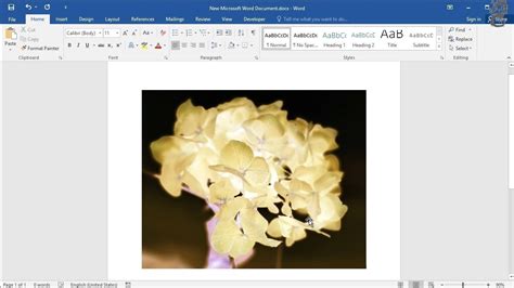 how to invert color of a picture in word