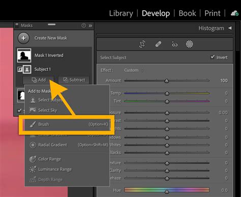 how to invert mask selection in lightroom