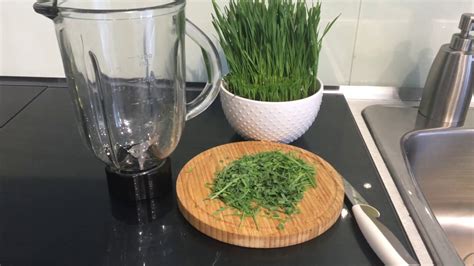 How To Juice Wheatgrass In A Blender