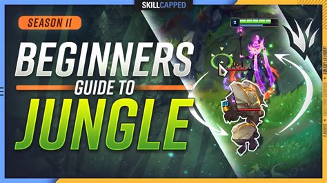 how to jungle for beginners