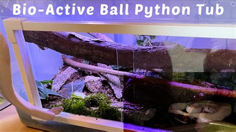 How To Keep A Ball Python In A Tub