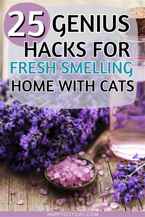 How To Keep A Cat From Smelling
