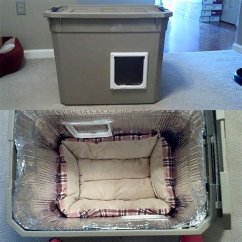 How To Keep A Cat In A Box