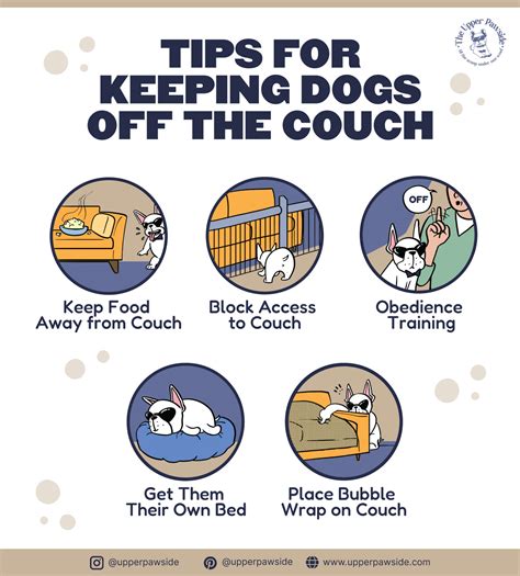 How To Keep A Dog From Getting On The Couch