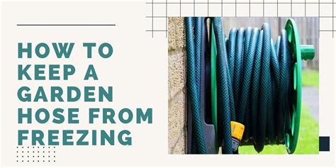 how to keep a garden hose from freezing