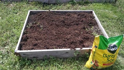 how to keep ants out of raised garden bed