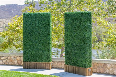 How To Keep Artificial Plants From Fading In The Sun