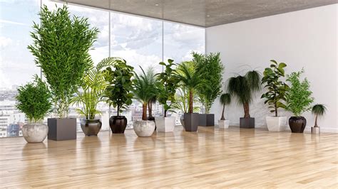 How To Keep Artificial Trees Dust Free