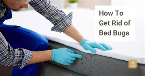 How To Keep Bed Bugs Off Your Bed