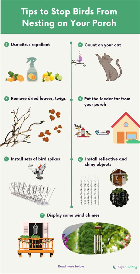 How To Keep Birds From Nesting