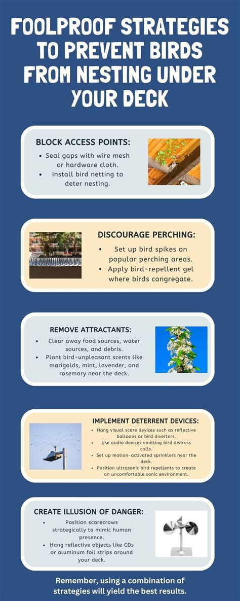 How To Keep Birds From Under Deck