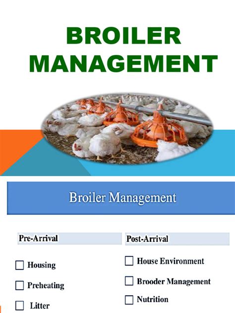 How To Keep Broilers Pdf