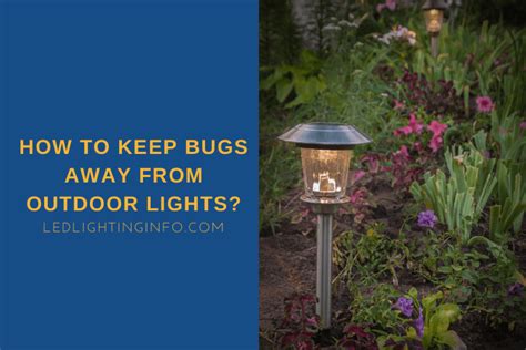 How To Keep Bugs Away From String Lights