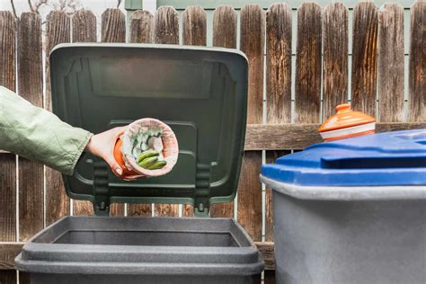 How To Keep Bugs Away From Trash Can