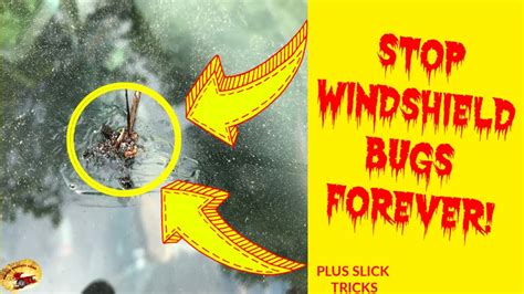 How To Keep Bugs From Sticking To Your Windshield