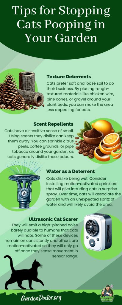 How To Keep Cats Away From Pooping In Yard