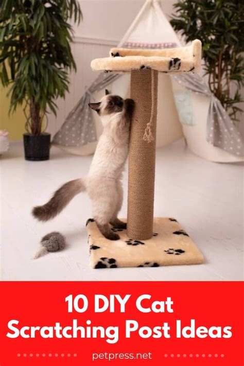 How To Keep Cats From Scratching Deck Posts