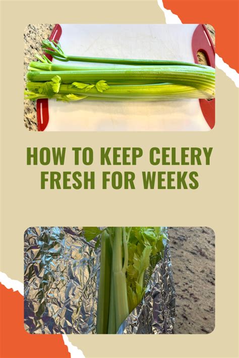 How To Keep Celery Fresh For Weeks