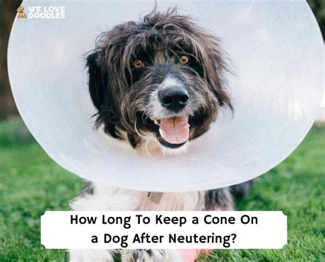 How To Keep Cone