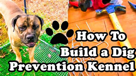 How To Keep Dog From Digging In Kennel