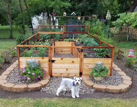 how to keep dogs out of raised garden beds