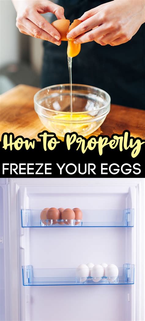 How To Keep Eggs From Freezing In Refrigerator
