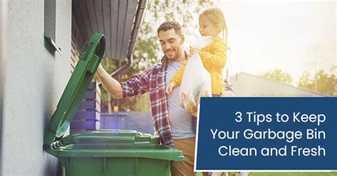 How To Keep Garbage Bins Clean
