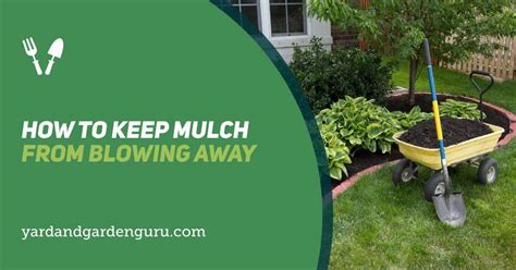How To Keep Leaf Mulch From Blowing Away