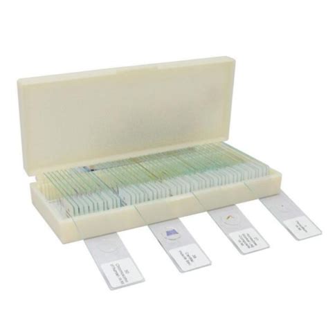 How To Keep Microscope Slide