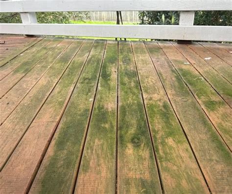 How To Keep Mold Off Deck