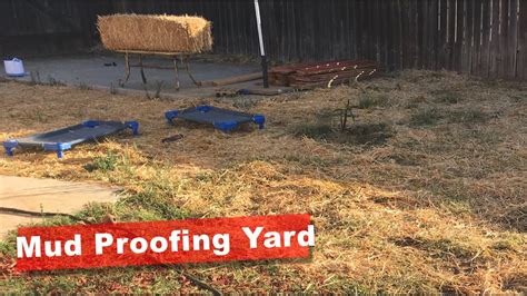 How To Keep Mud Down In Yard