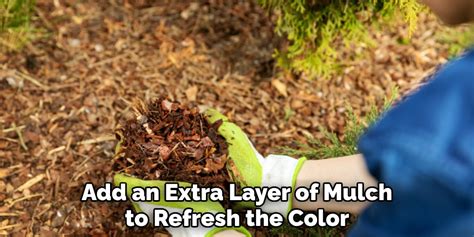 How To Keep Mulch From Fading