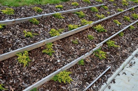How To Keep Mulch From Sliding Down A Hill