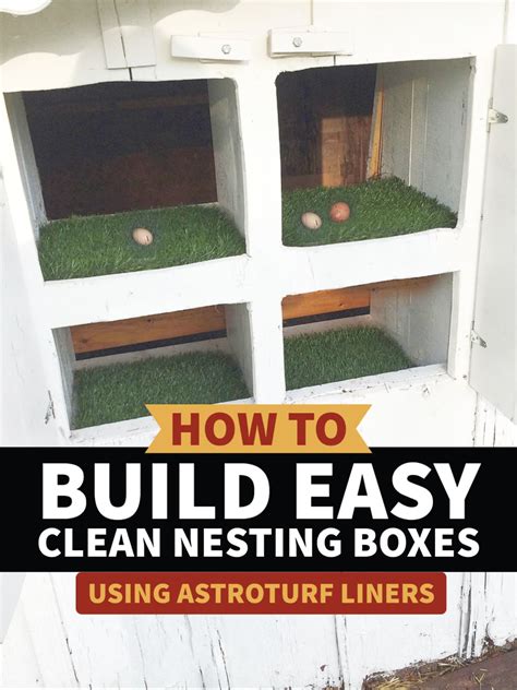 How To Keep Nesting Boxes Clean