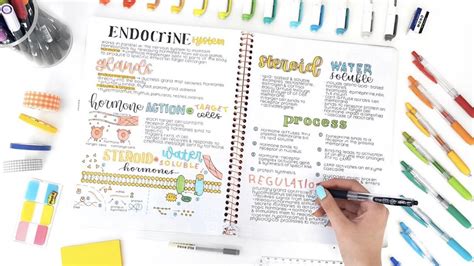 How To Keep Organized Notes