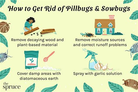 how to keep pill bugs out of garden