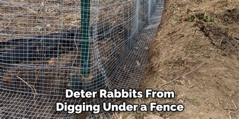 How To Keep Rabbits From Digging In Yard