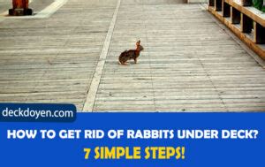 How To Keep Rabbits From Under Deck