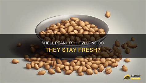 How To Keep Shell Peanuts Fresh