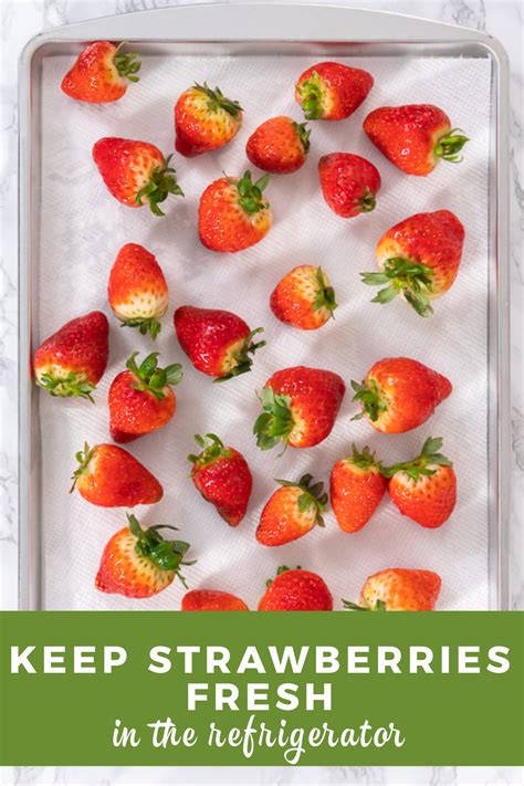 How To Keep Strawberries Fresh In Your Refrigerator