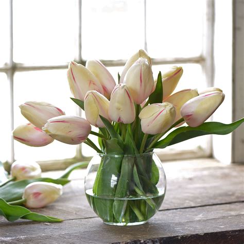 How To Keep Tulips From Drooping In A Vase
