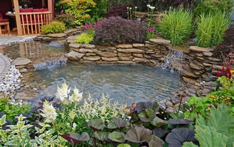 How To Keep Water Feature Algae Free