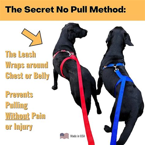 how to keep your dog from pulling on leash
