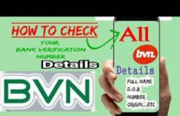 how to know the name on my bvn online